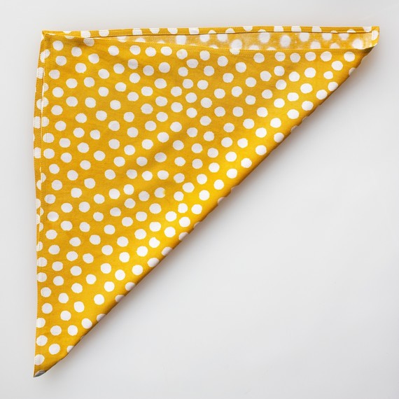 David_-Stark_Design_Easter_Napkin_step_2.jpg (skyword:240401)
