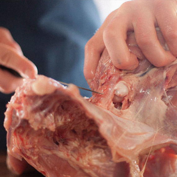 chefsteps-turkey-butchery-11-1777x1777.jpg (skyword:192206)