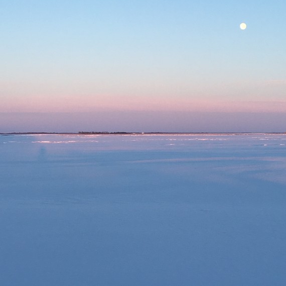 far-north-distillery-lands-winter-light-1116