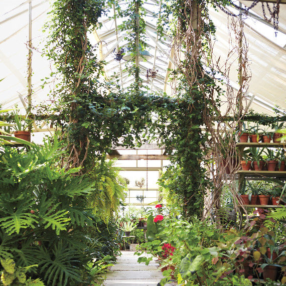 garden-andrea-filippone082613-msl-0014.jpg