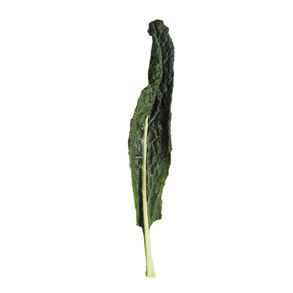 glossary-greens-0121-d112652-0216-kale.jpg