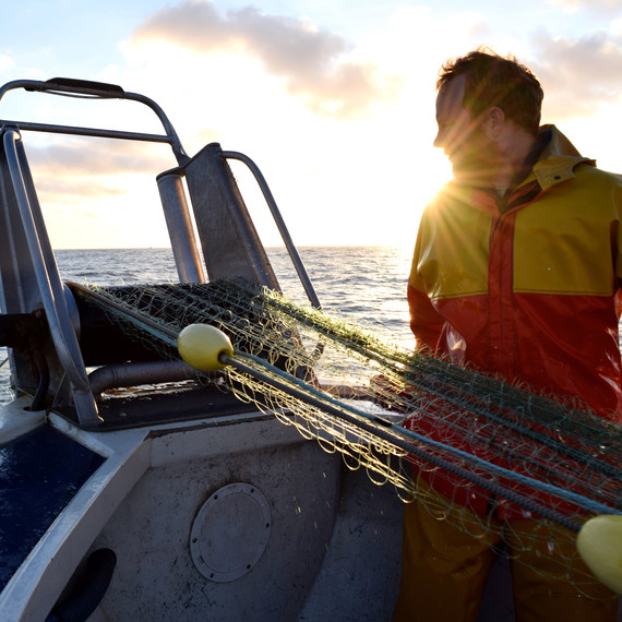 netting fish sunset netting fish sunset