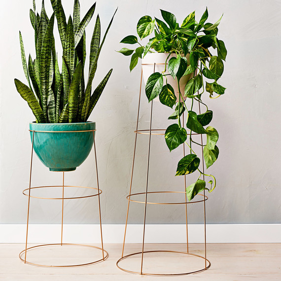 Instant Upgrade: Tomato Cage Plant Stand | Martha Stewart