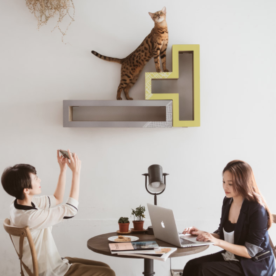 katris cat scratcher katris cat scratcher
