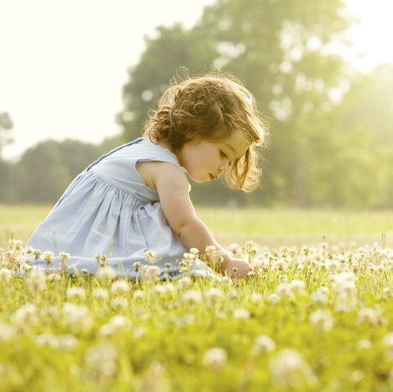 little girl picking flowers in a field little girl picking flowers in a field
