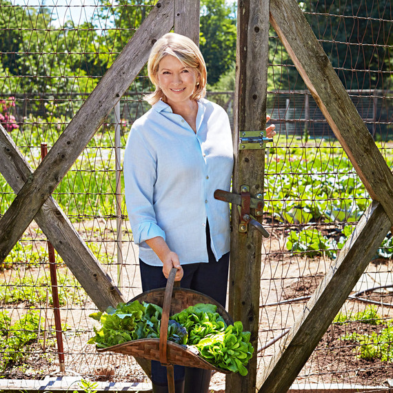 martha with a basket of lettuce garden gate martha with a basket of lettuce garden gate
