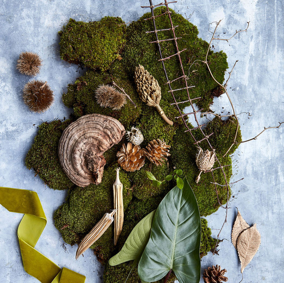 moss and twigs materials for fairy landscape moss and twigs materials for fairy landscape