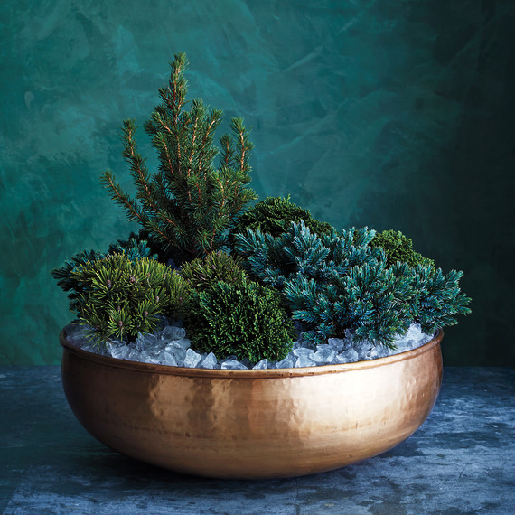 mini-evergreens-brass-bowl-012-d111854.jpg