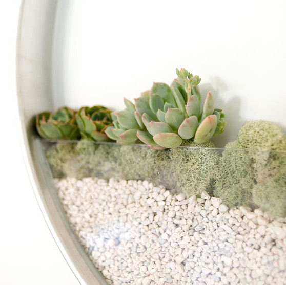 minimalistic wall planters minimalistic wall planters