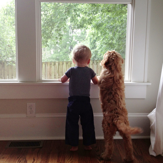 mspets-kidsnpets-03-amyalday-mrkt-0514.jpg