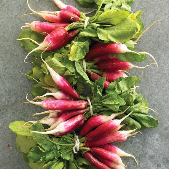 radishes-great-finds-msl0513-mld106124.jpg