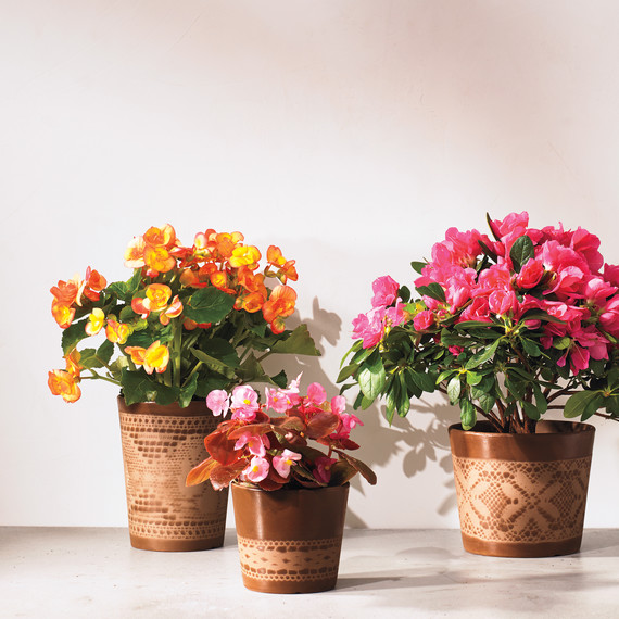 relief-sprayed-flower-pots-107-d111372.jpg