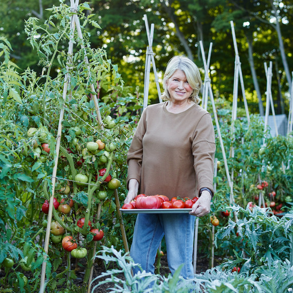 10-martha-tomato-portrait-68653-d112503.jpg