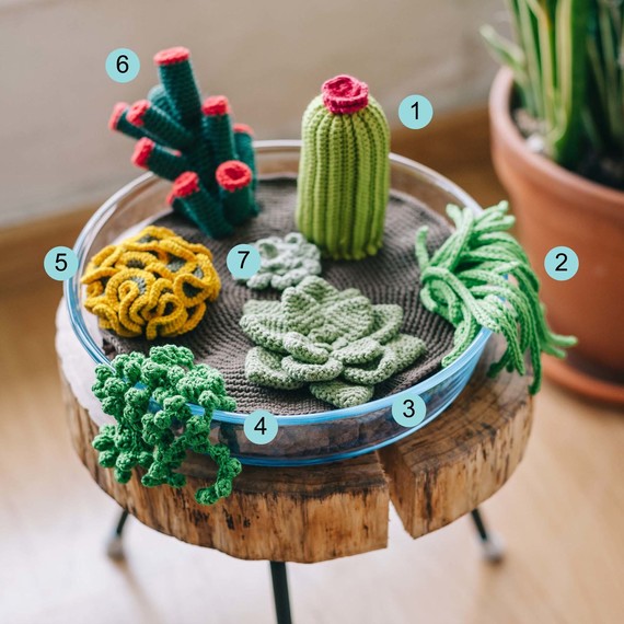 Inline---crochet-succulents---1777x1777.jpg (skyword:247234)