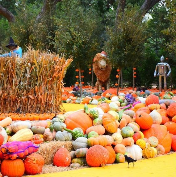 Dallas Arboretum and Botanical Garden pumpkins Dallas Arboretum and Botanical Garden pumpkins