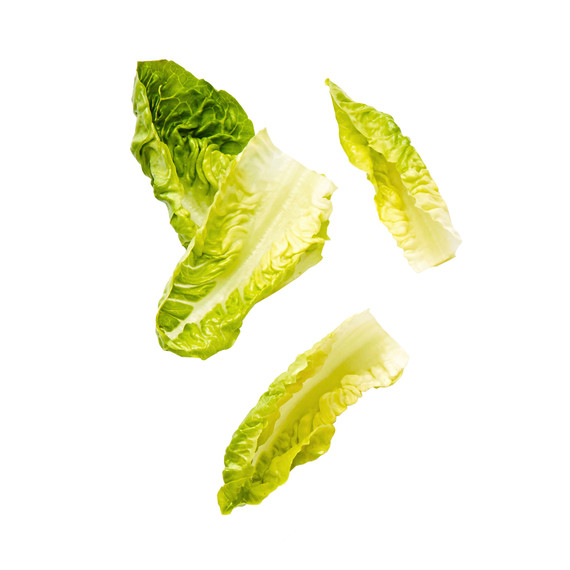 little dippers lettuce leaves little dippers lettuce leaves