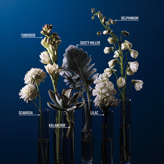 opener-flowers-labeled-107-d111890-0415.jpg