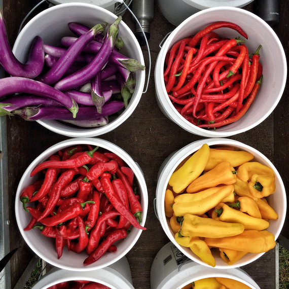 peppers and eggplants in buckets peppers and eggplants in buckets