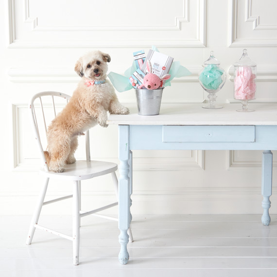pet-friendly-easter-basket-0024-d111932.jpg