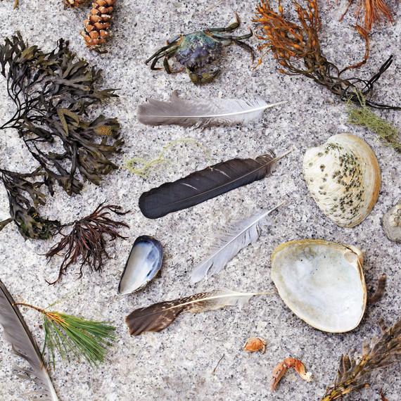 rinne-allen-crafts-specimens-01-d109213.jpg