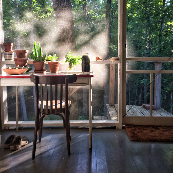 desk with plants in screened in porch wooded area desk with plants in screened in porch wooded area