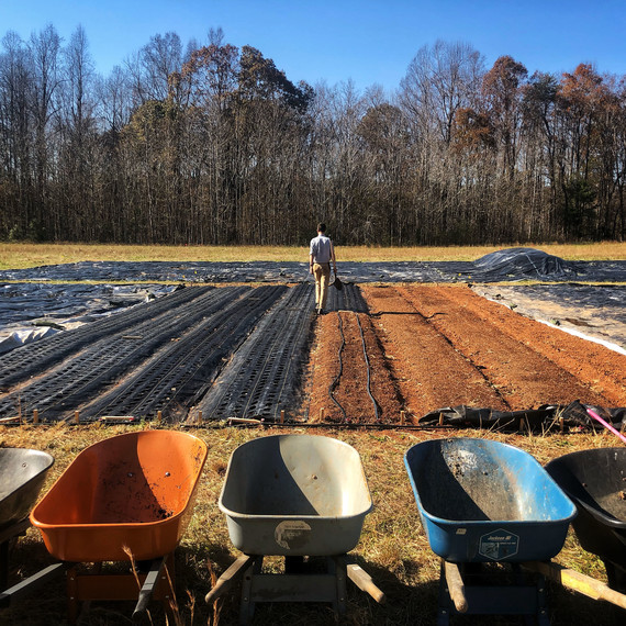 gordon wheelbarrows land ten mothers farm gordon wheelbarrows land ten mothers farm