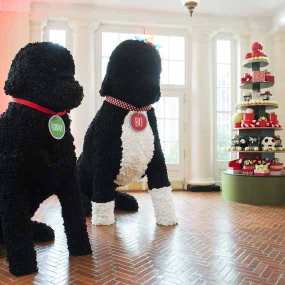 white house obama christmas bo replicas white house obama christmas bo replicas