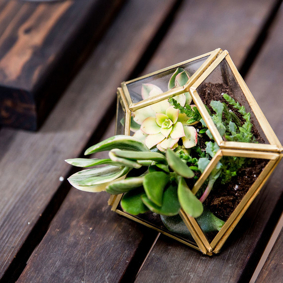 Zen6.jpg (skyword:238981)