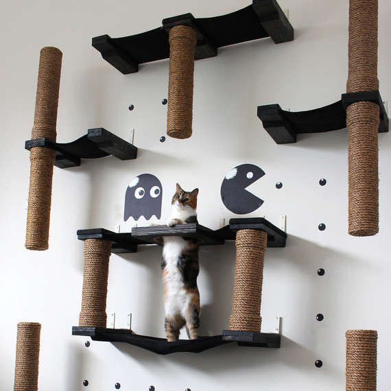 A PacMan inspired cat housing complex A PacMan inspired cat housing complex