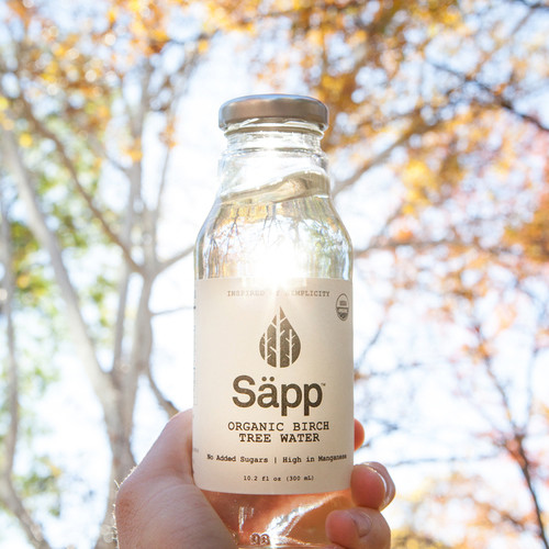 sapp.jpg
