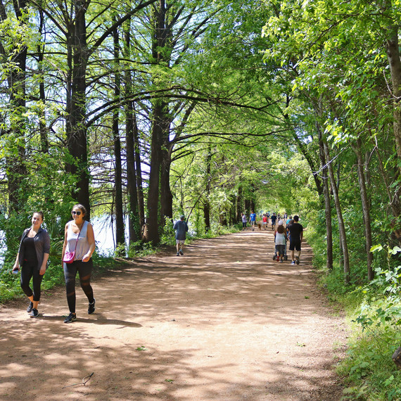 trail trail