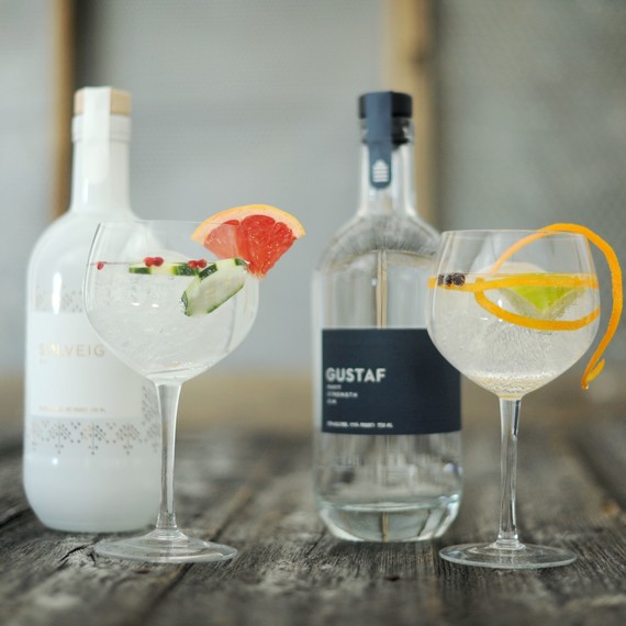 gin and tonics far north gin and tonics far north