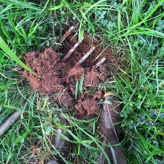 good soil new land ten mothers farm good soil new land ten mothers farm