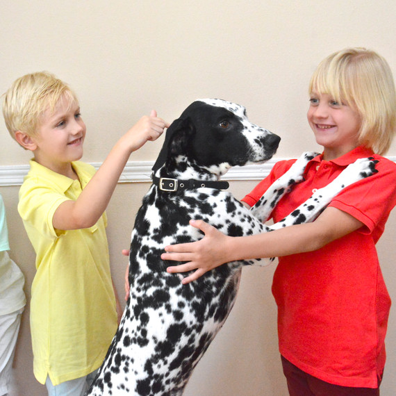 mspets-kidsnpets-02-blondeboys-mrkt-0514.jpg
