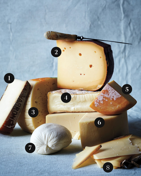 numbered-cheese-glossary-v2-d111633-0215.jpg