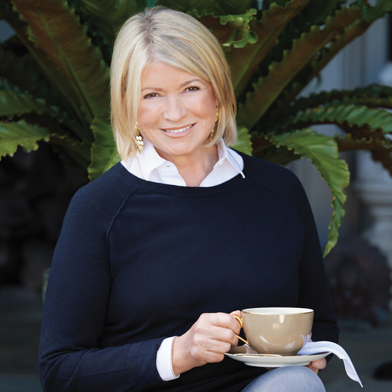 martha stewart QVC martha stewart QVC