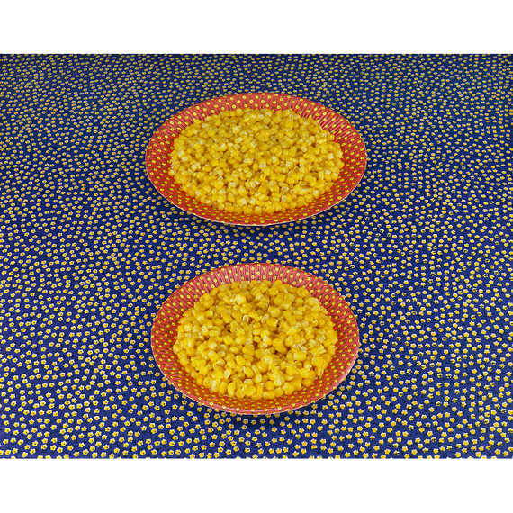 sandy skoglund still life corn sandy skoglund still life corn