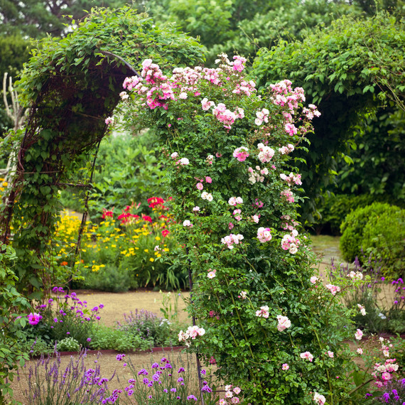 archway garden