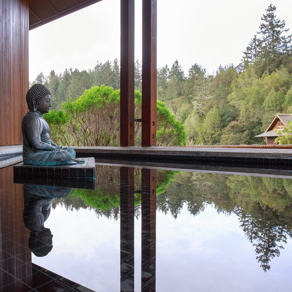 spirit rock meditation center two irises spirit rock meditation center two irises