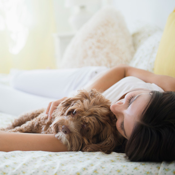 woman hugging brown dog in bed woman hugging brown dog in bed