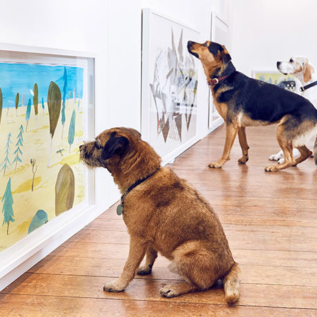 The world's first art exhibit for dogs was created by Dominic Wilcox. The world's first art exhibit for dogs was created by Dominic Wilcox.