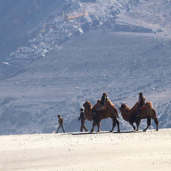 camel safari the ultimate travelling camp camel safari the ultimate travelling camp