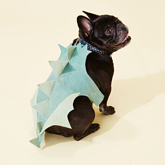 dog dragon costume dog dragon costume