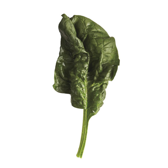glossary-greens-0121-d112652-0216-spinach.jpg