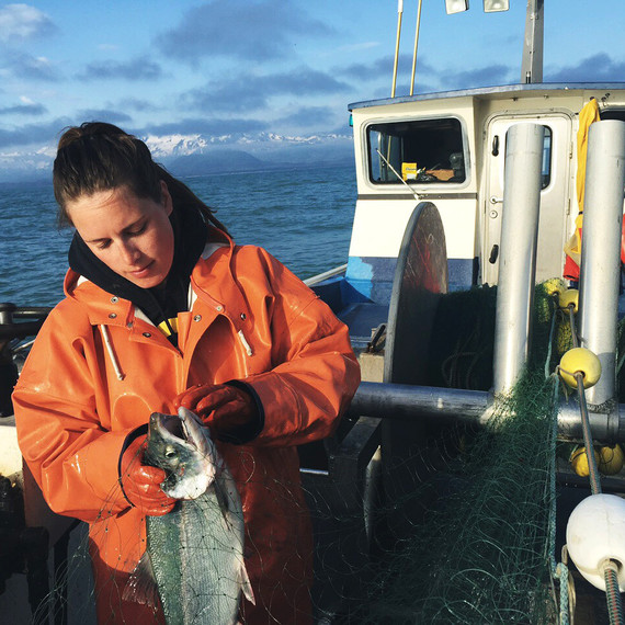 salmon harvesting net salmon harvesting net