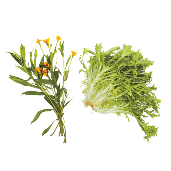 lettuce-pairings-tarragon-frisee-md110971.jpg