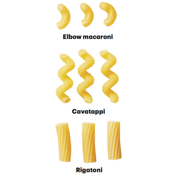 noodle cavatapi macaroni rigatoni noodle cavatapi macaroni rigatoni