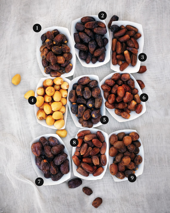 numbered-dates-glossary-0041-d111571-0215.jpg