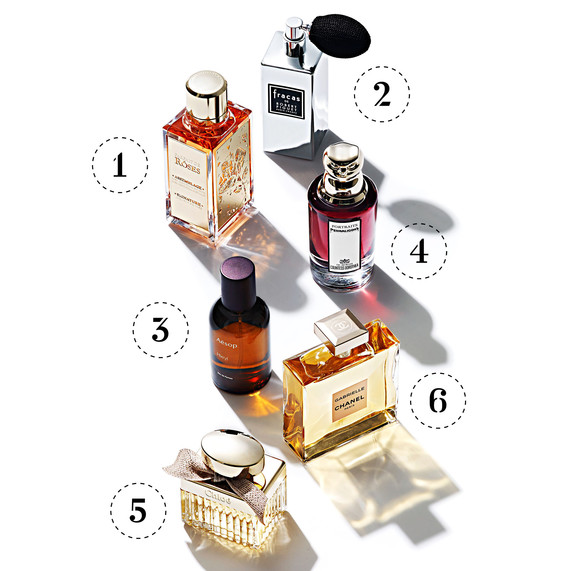 season highlights perfumes season highlights perfumes
