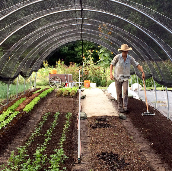 direct seeding crops ten mothers farm direct seeding crops ten mothers farm